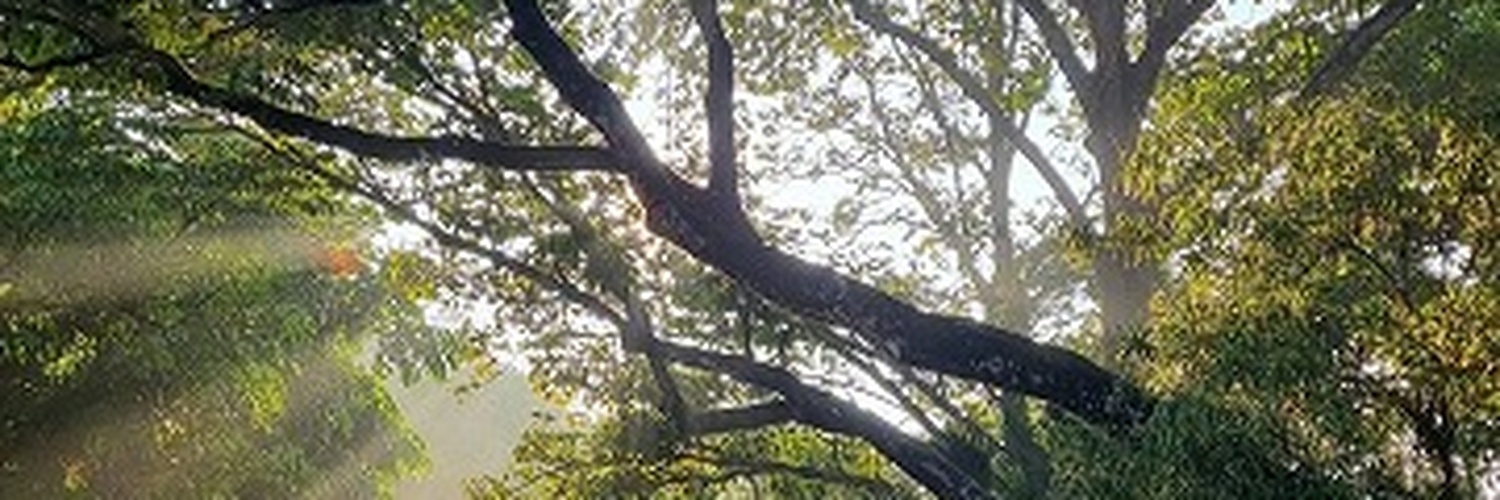 nosnowinmxico's profile banner image