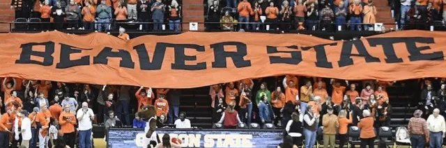 Andy Lasselle's banner