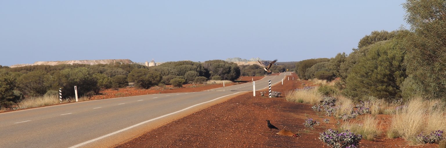 josephdunstan's profile banner image