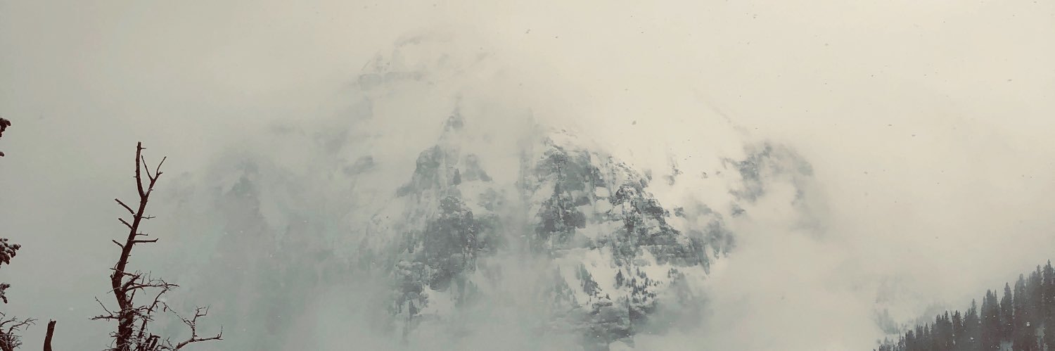 laurabrunner's profile banner image