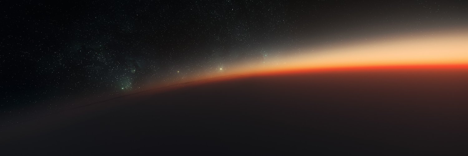 a swole seagull banner