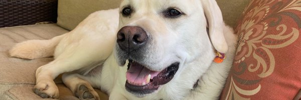 andrewolsonmd Profile Banner