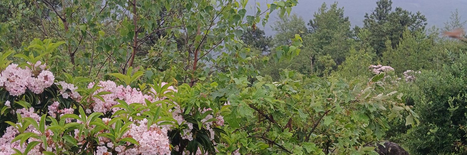 zmoji_'s profile banner image