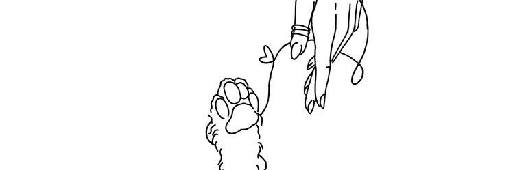 lisumiblog's profile banner image