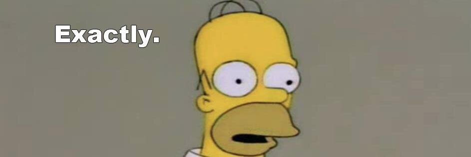 rahrahshebear's profile banner image
