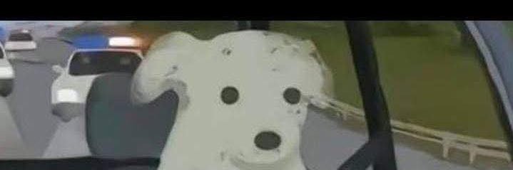 KheMalito's profile banner image