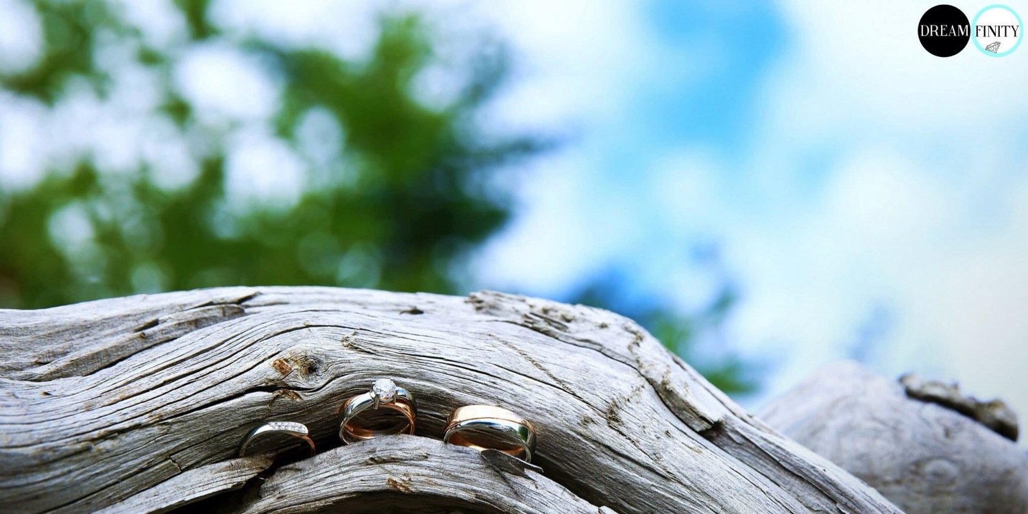 MonsoonFeast's profile banner image