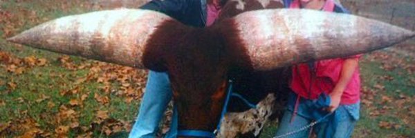 Backend7777 Profile Banner