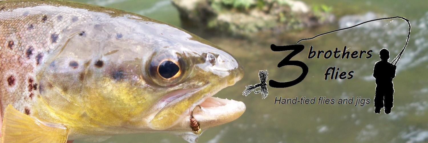3brothersflies's profile banner image