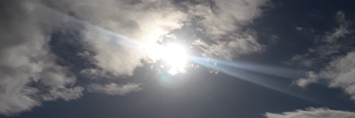 LadyWilsonOR ☀️🌜🌟 banner