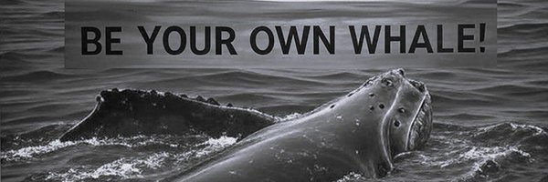 XRPLGigaChad Profile Banner