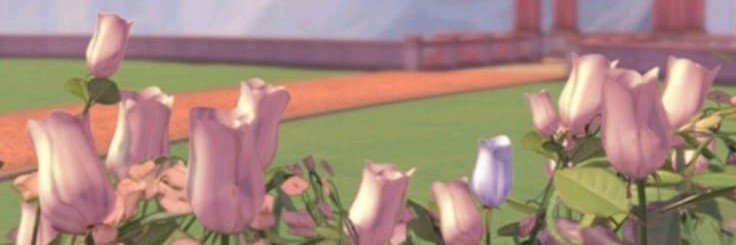 thumdelina's profile banner image