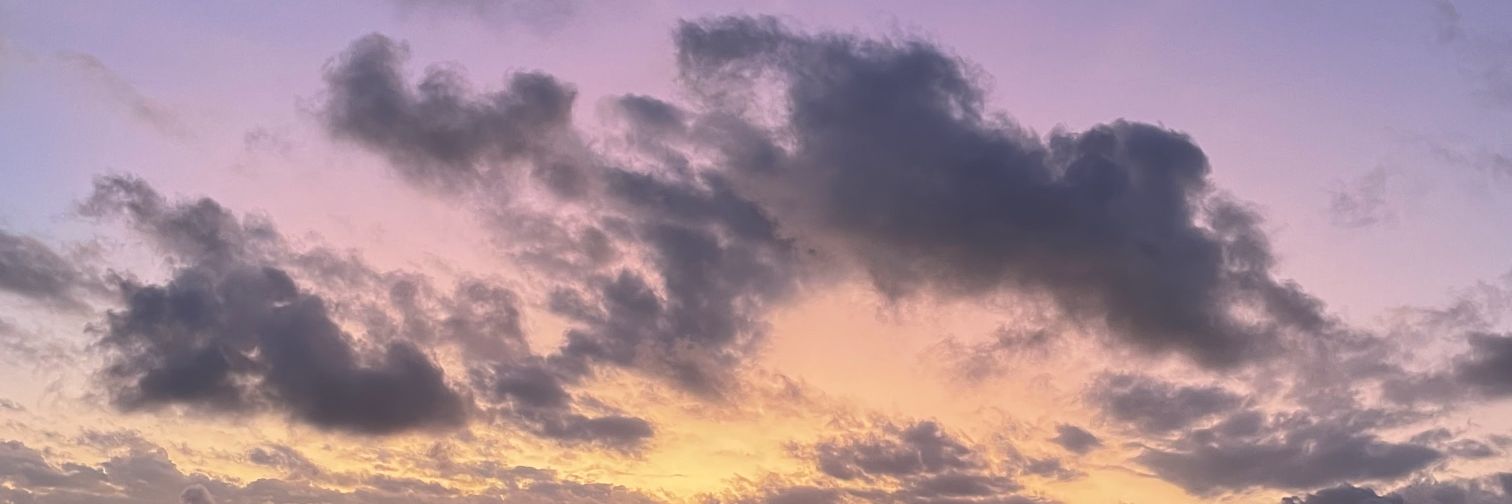 LFCPramit's profile banner image