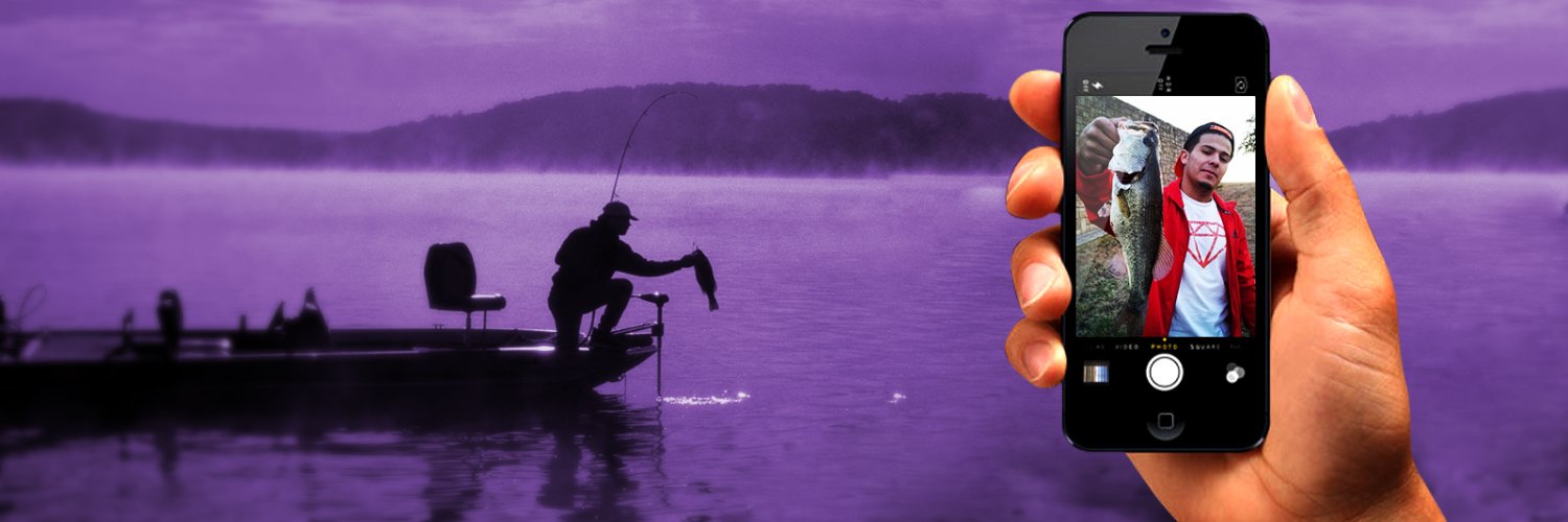 Bass Manager 🎣 banner