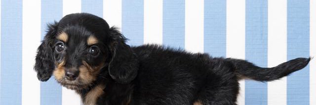 rkt_54's profile banner image
