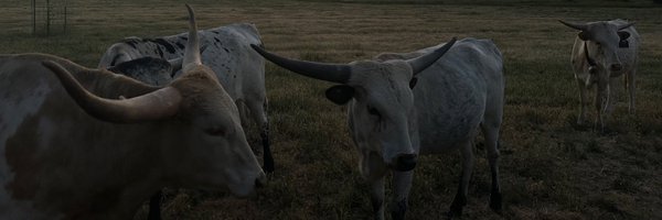 avaginawoolf Profile Banner