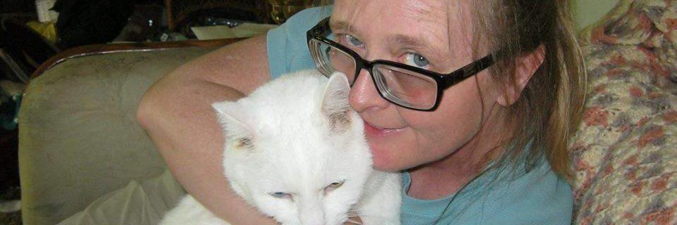 fugeecat's profile banner image