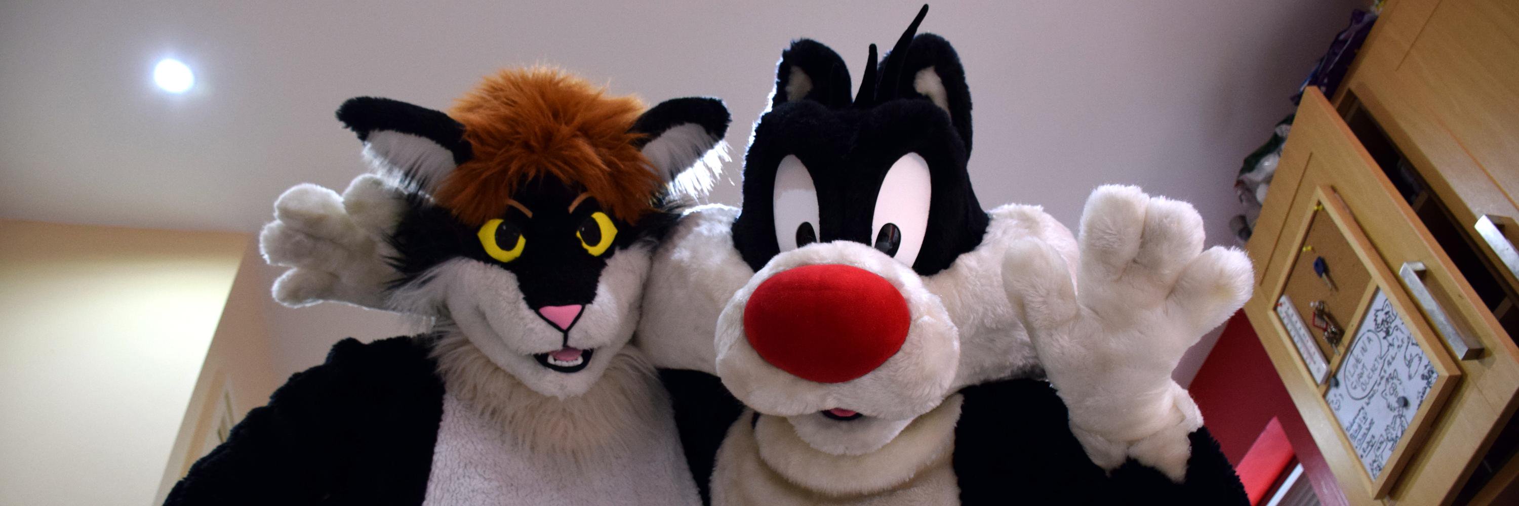 SlyCat's profile banner image