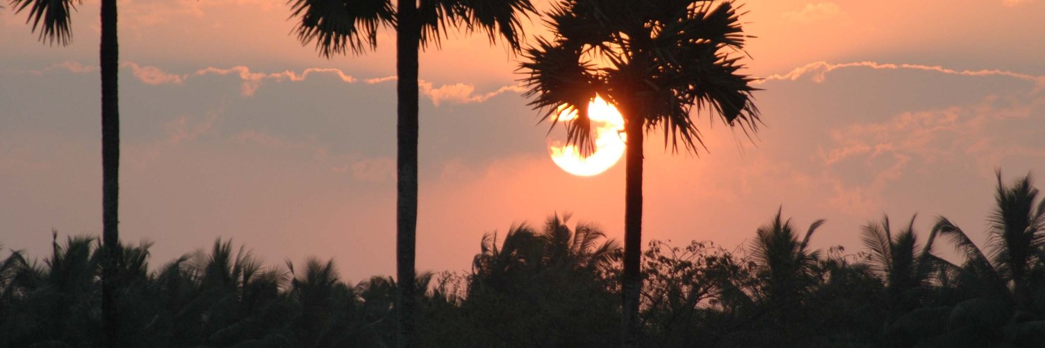pratapsamaja's profile banner image