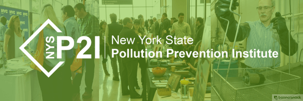 NYSP2I Profile Banner
