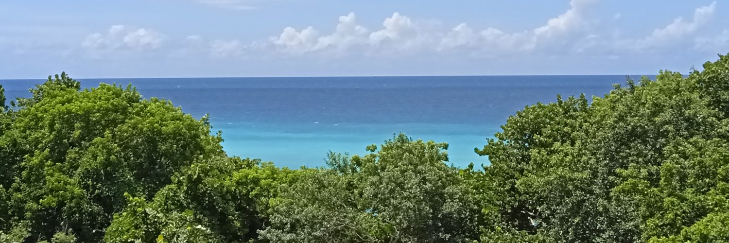 teleyradio's profile banner image