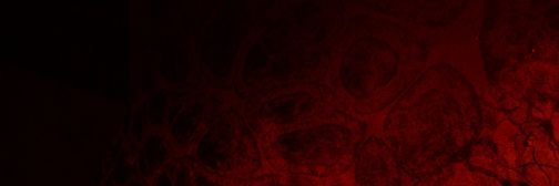 Kenan banner