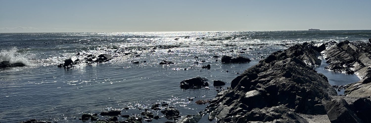 lily🖤 banner