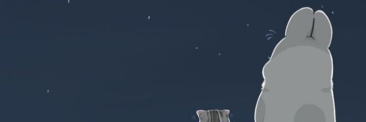 DevoraMirany's profile banner image