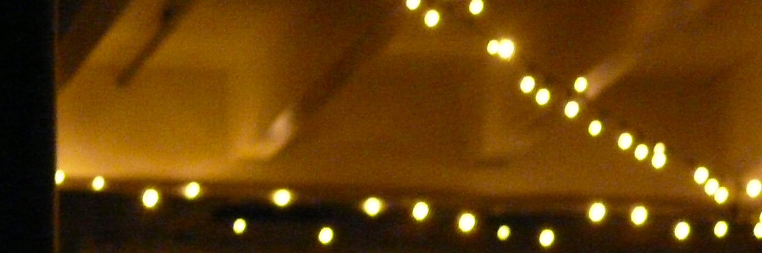 Lexi banner