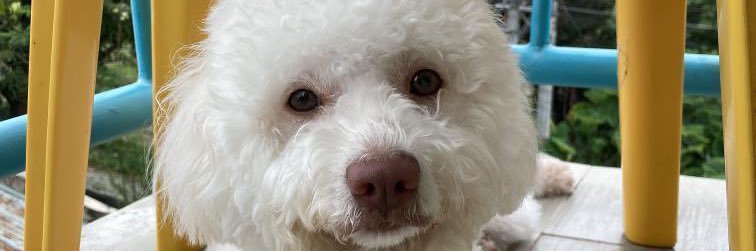 jhnnady's profile banner image