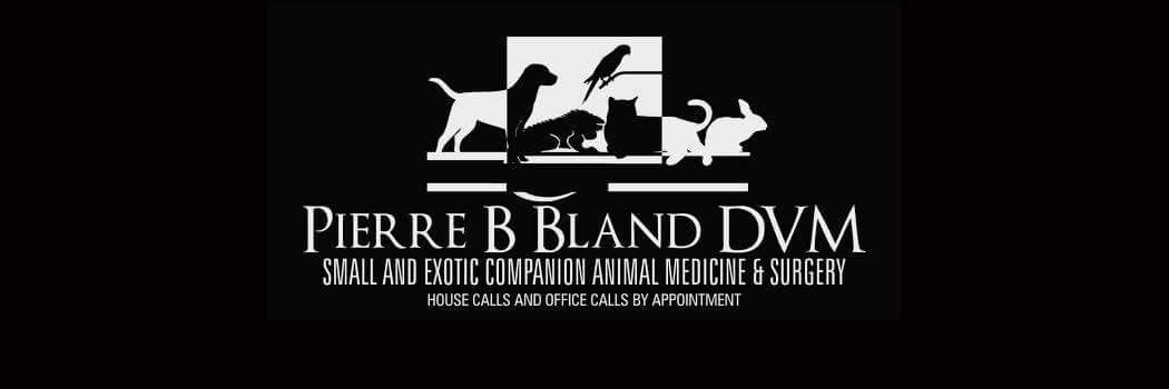 Doccanary's profile banner image
