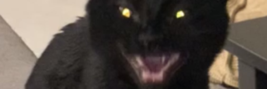 evkzq's profile banner image