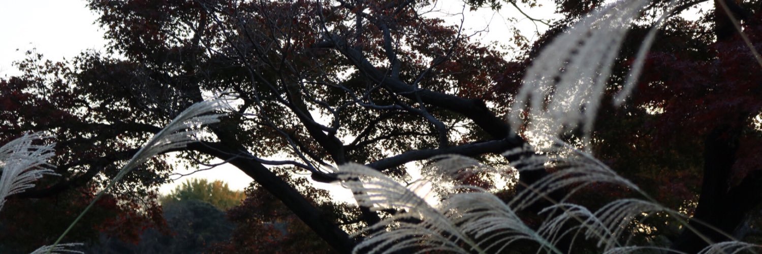 kt3231's profile banner image