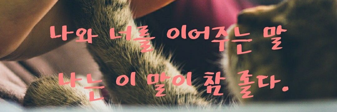 amomoz1's profile banner image