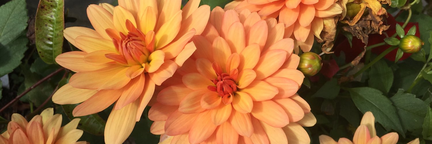 MamaWorks's profile banner image
