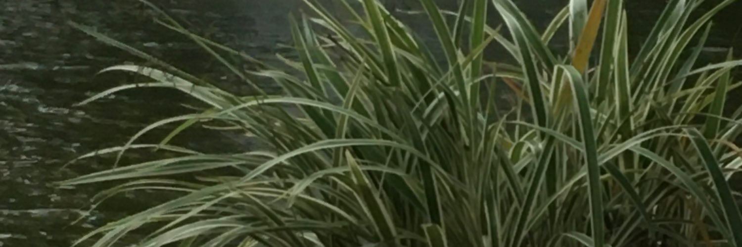 生食奶油 banner