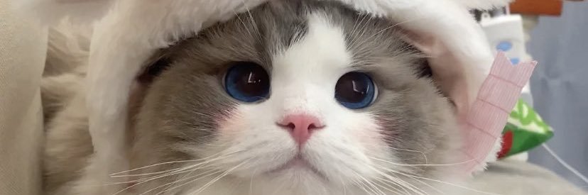 sopheaxxi's profile banner image