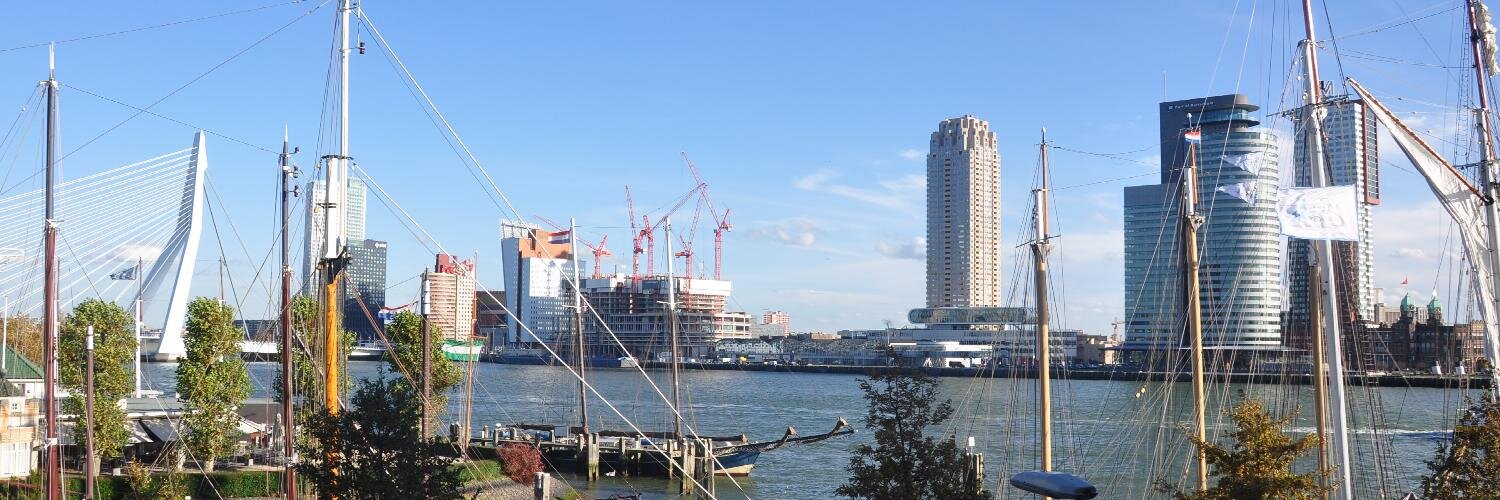 Meeuwes de Ruiter banner