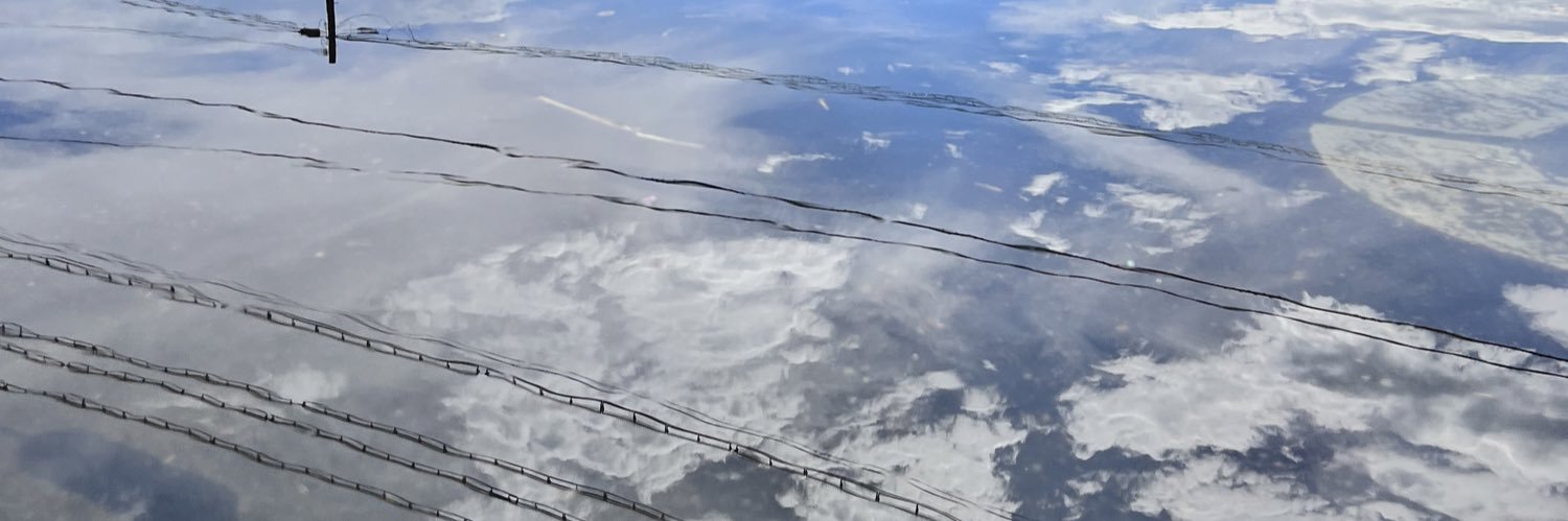 1adybird7's profile banner image