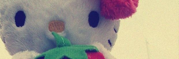 naju 🇵🇸 banner