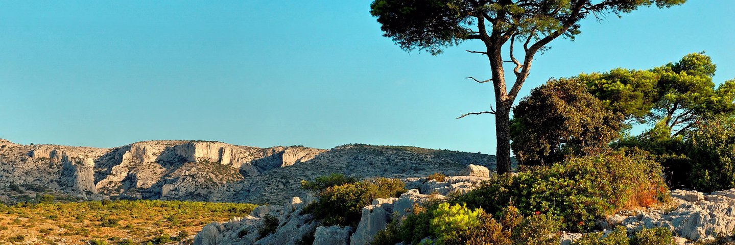 Benjamin Yoris banner