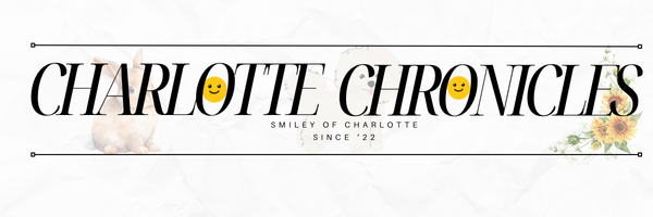Charlotte Station's banner
