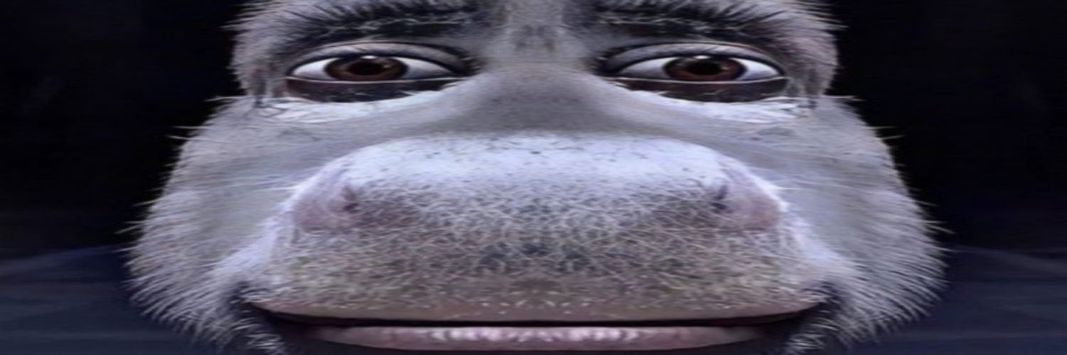 K n t a banner