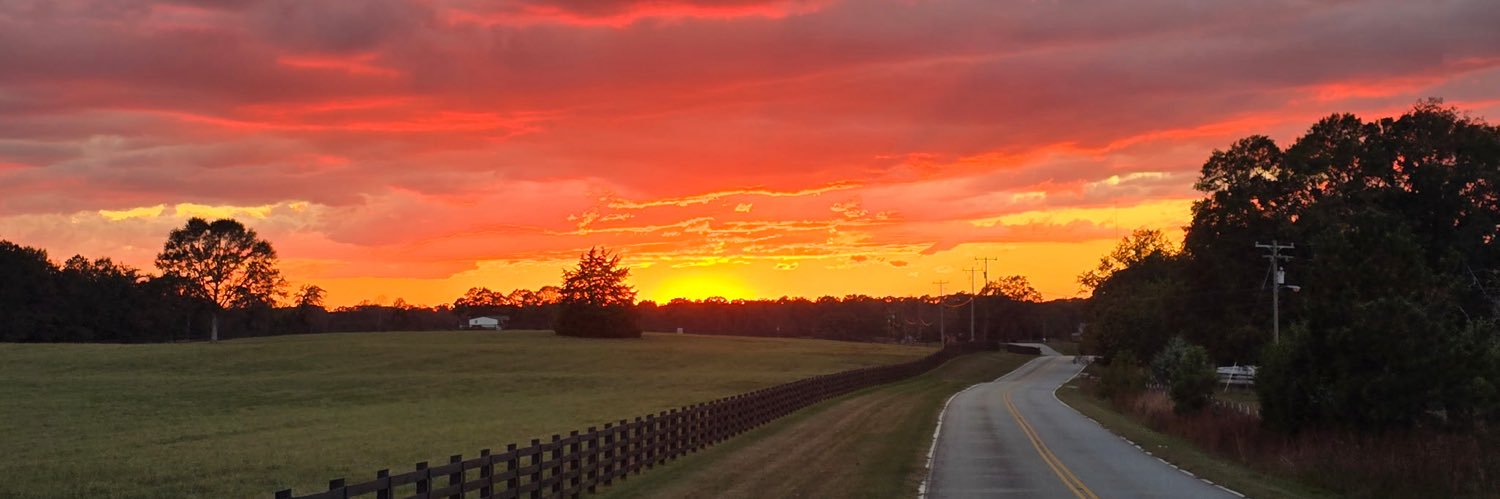 🐸👸🏼Samara B Hardee👸🏼🐸 banner