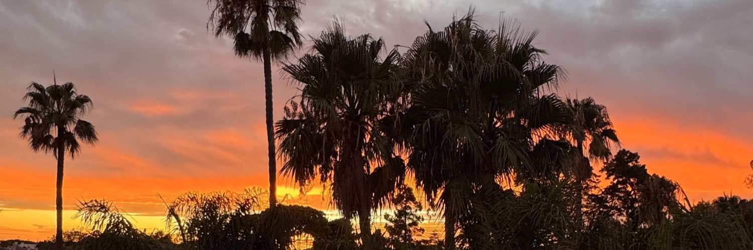 PedroAscorbe's profile banner image
