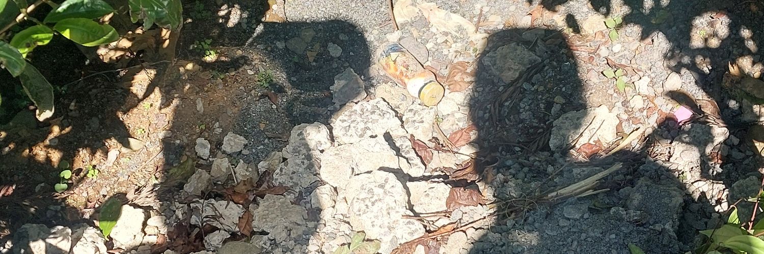 FadhelBul's profile banner image