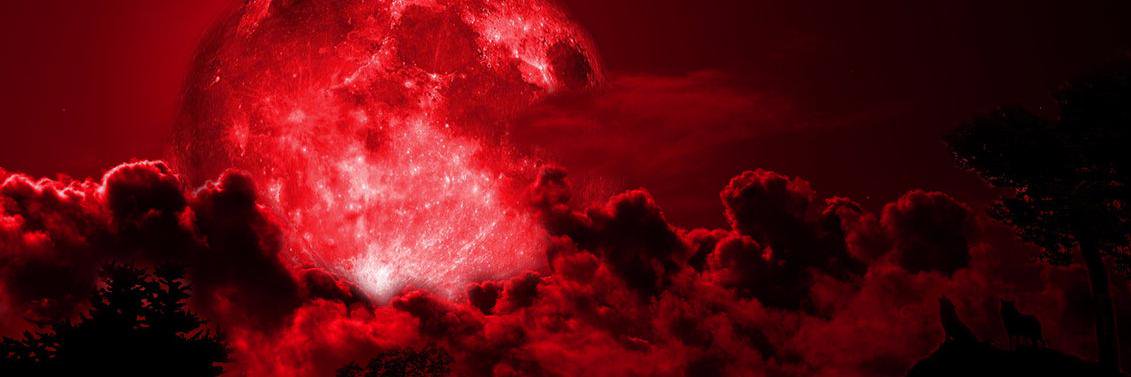 4evernightmare's profile banner image