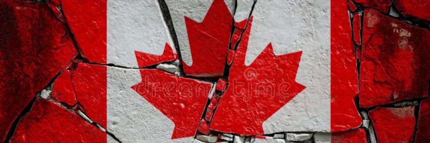 🐺SheWolf🐺 banner