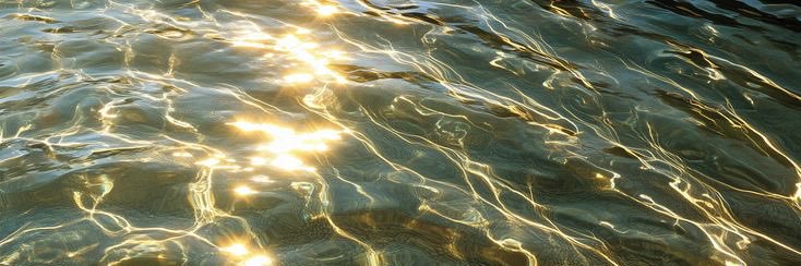 SingleVergonCDMX banner