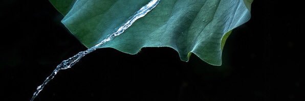 Andy banner